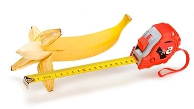 The normal penis size is 13 to 17 cm.